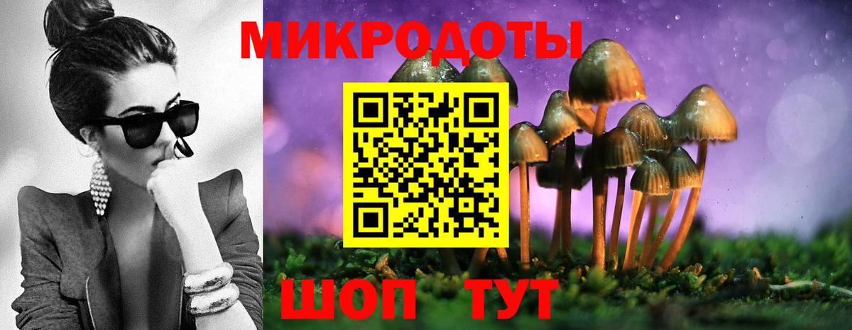 закладки  Вход с VPN  Дивногорск  Галлюциногенные грибы Psilocybine cubensis 